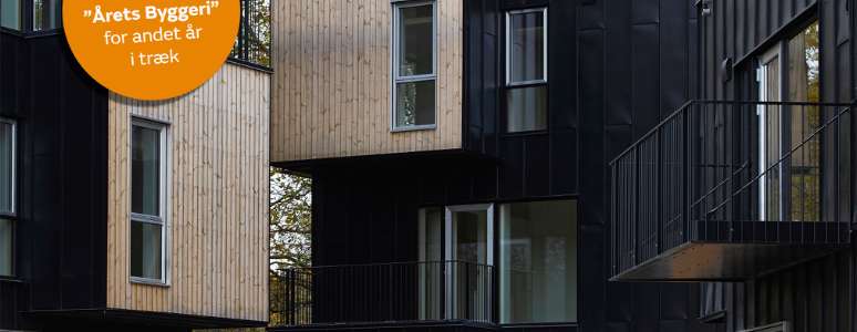 Would You Like to Be My “Buddy”?