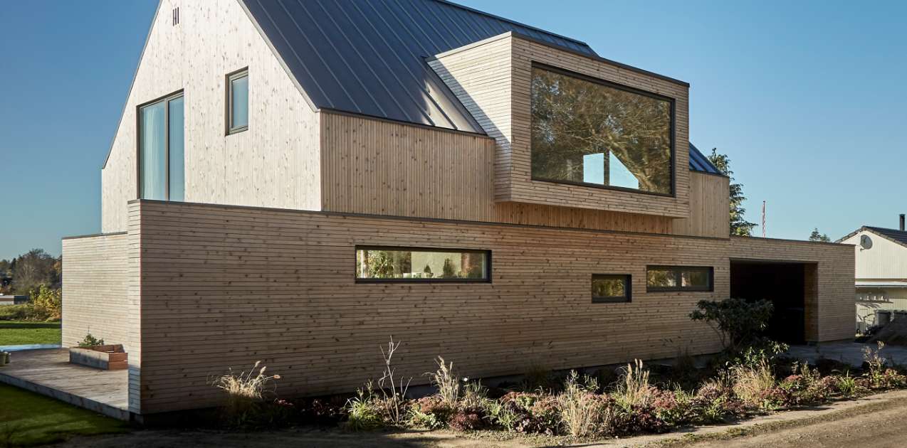 In The Deep Silence of Forest